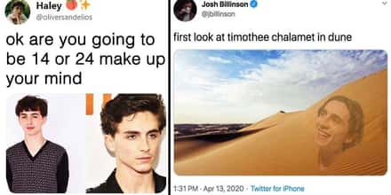 17 Hilarious Tweets About Timothée Chalamet That Made Us Laugh Way Too Hard
