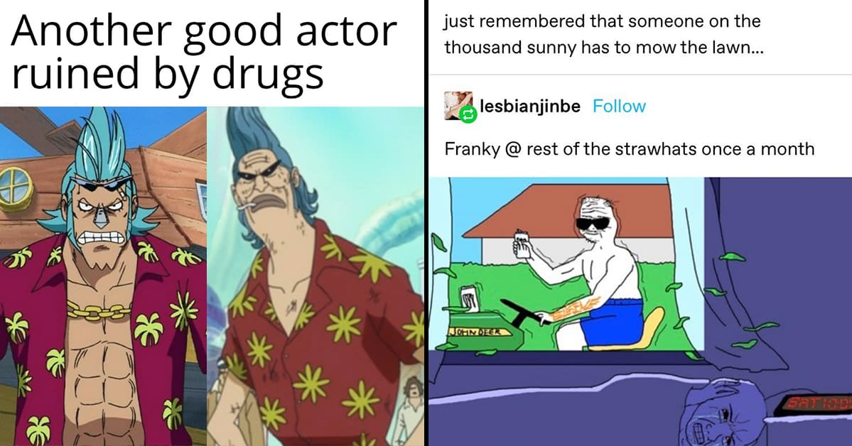 17 Funny Memes About Franky That We Laughed Way Too Hard At