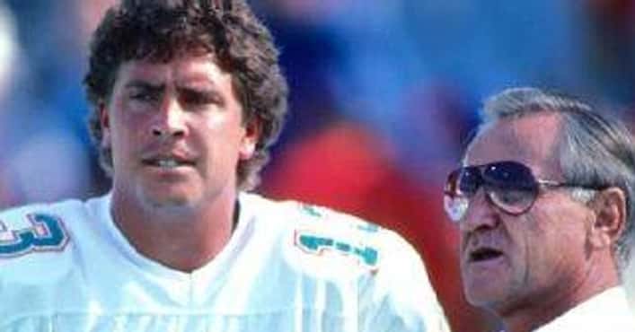 The Very Best Dolphins Coaches