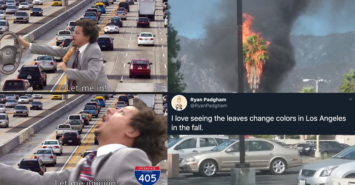 25 Hilarious Memes Only Los Angeles Natives Will Understand