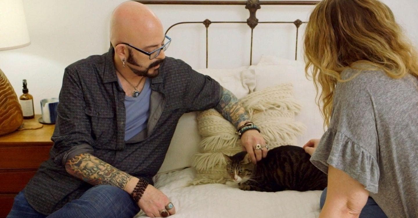 Jackson Galaxy Is Way Better Than Cesar Millan And We Can Prove It
