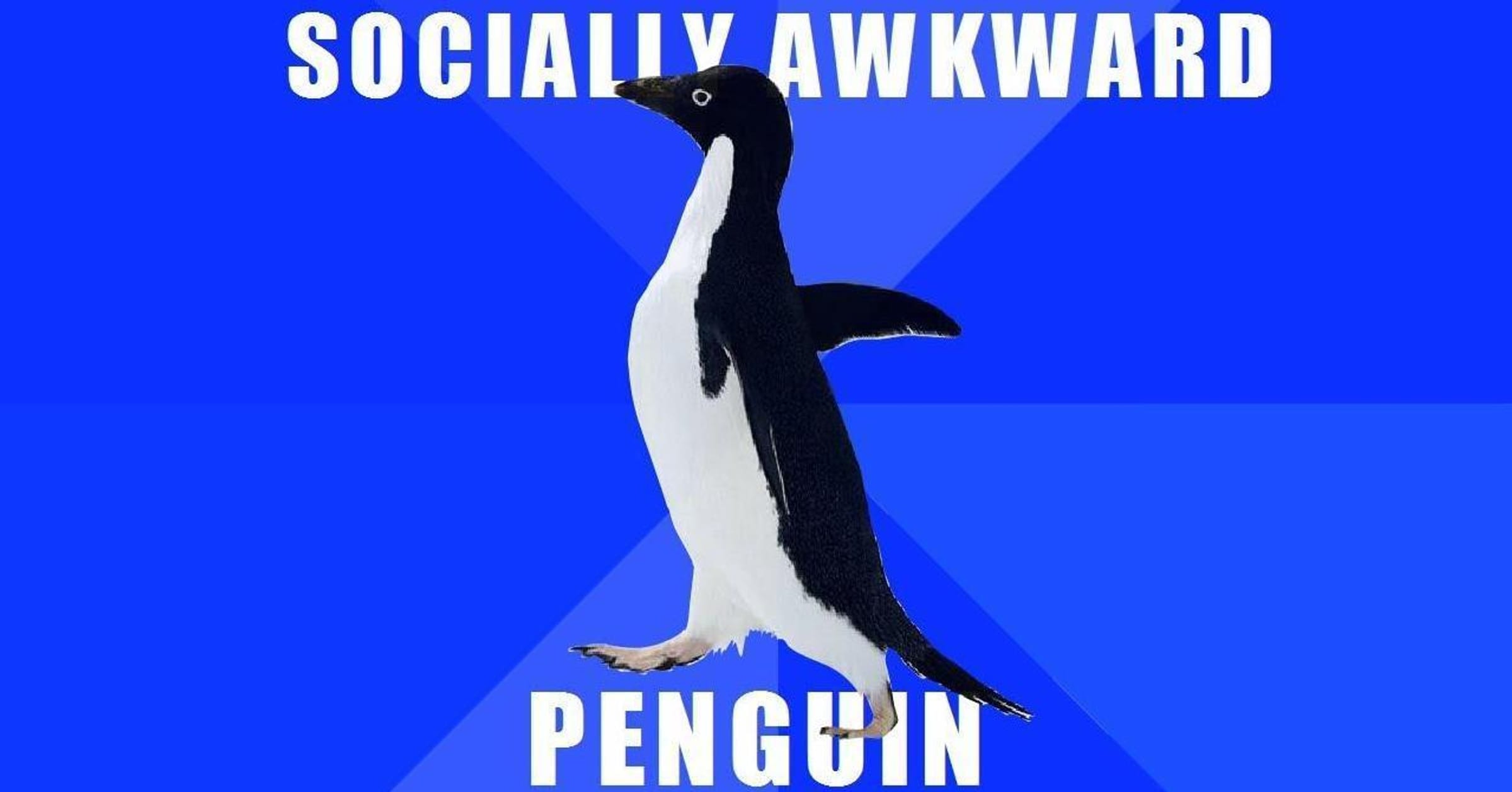 happy world penguin day meme