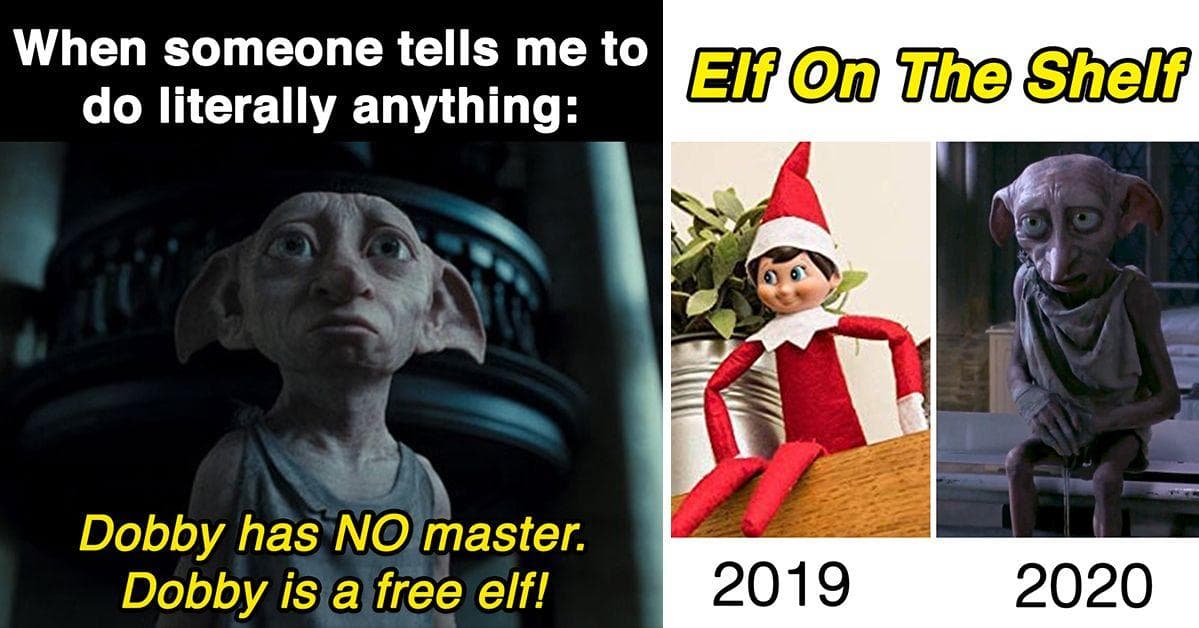 18 Memes For Harry Potter Fans Who Thought Dobby Was The Real Star