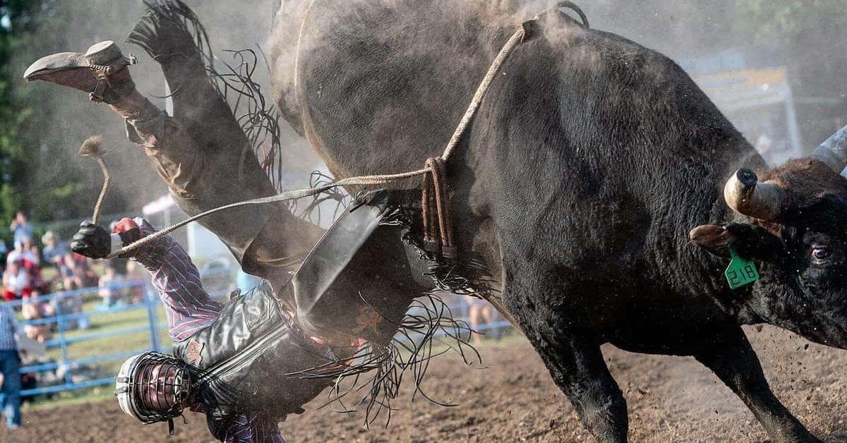 10 Cowboy Terms To Know Before Attending The Rodeo