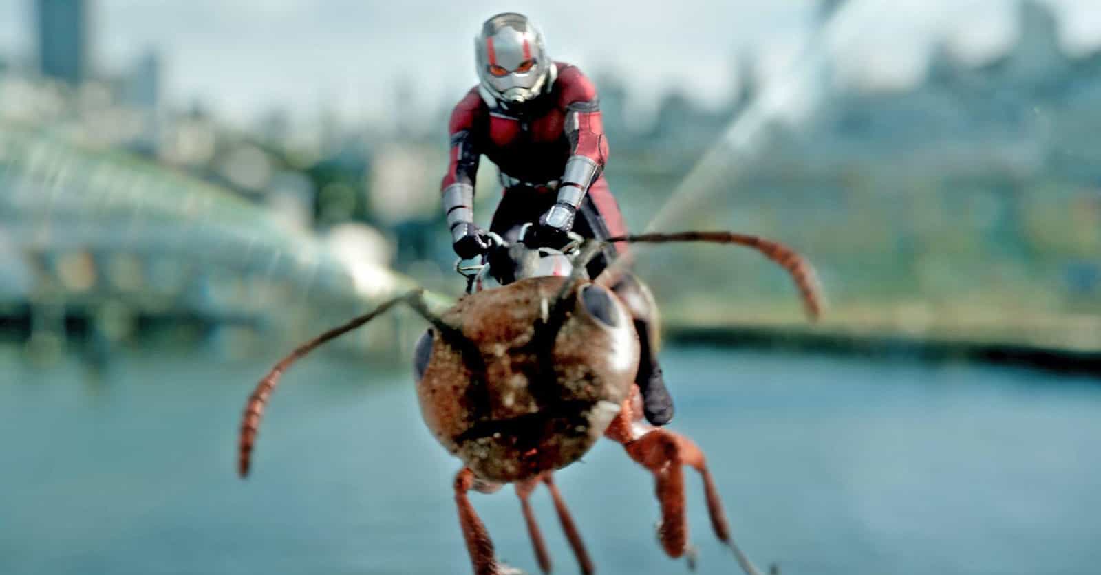Behind-The-Scenes Facts From The Ant-Man Movies That Demand A Rewatch