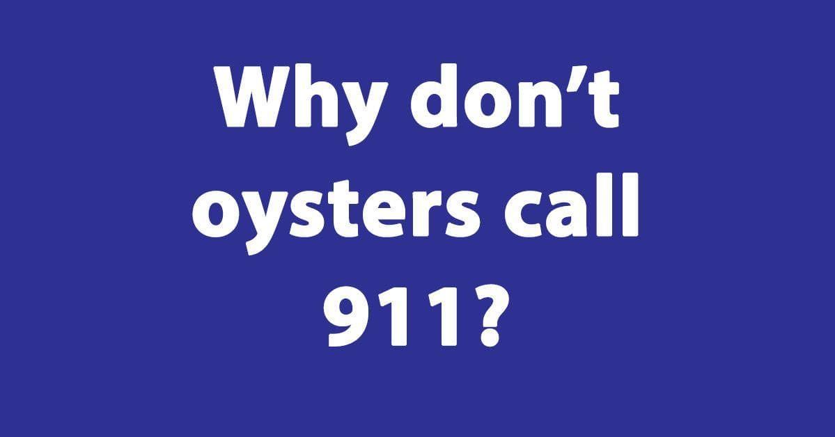 The 17 Best 911 Jokes, Ranked