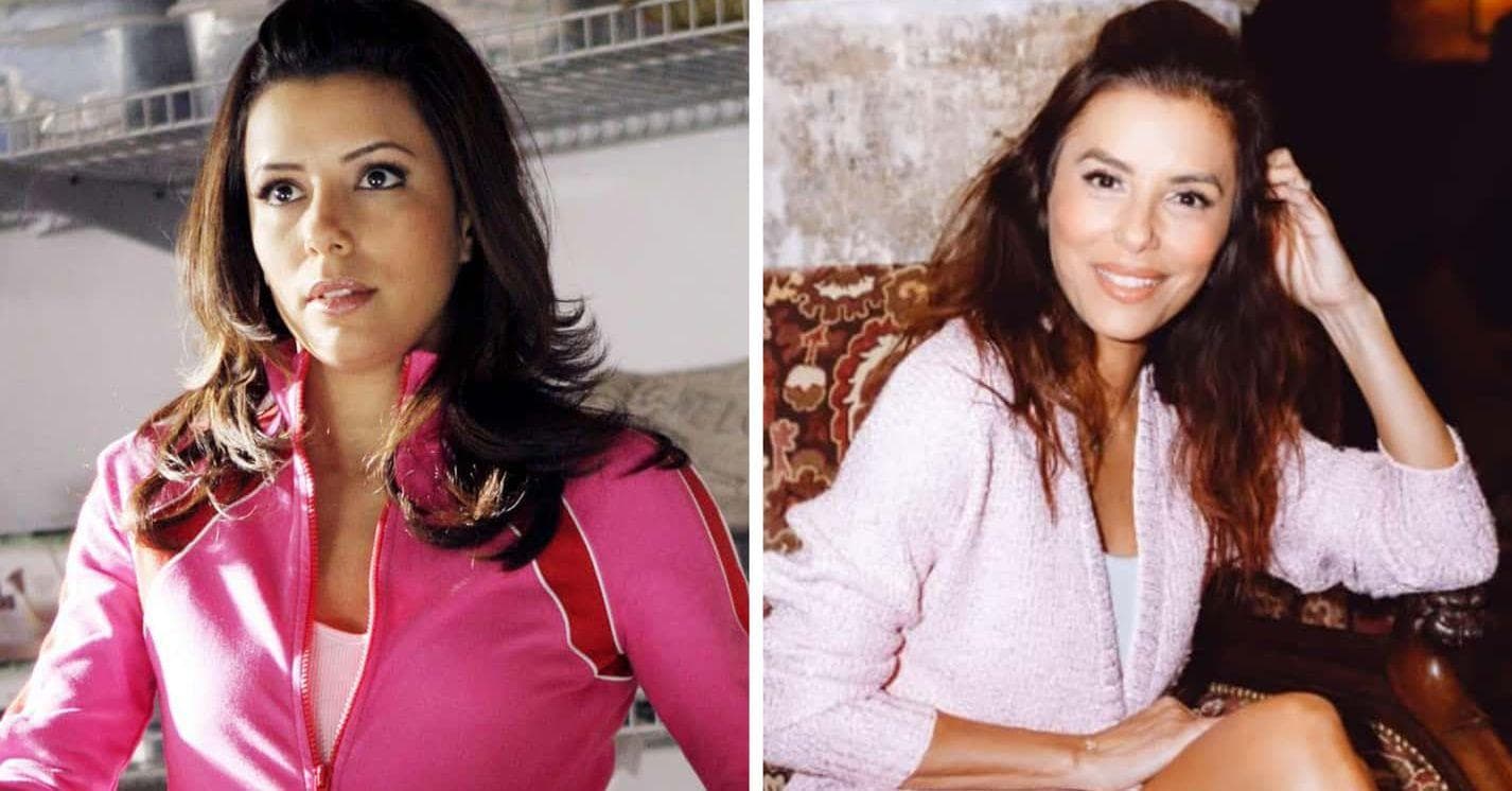 'Desperate Housewives' Cast: Where Are Wisteria Lane's Residents Now?