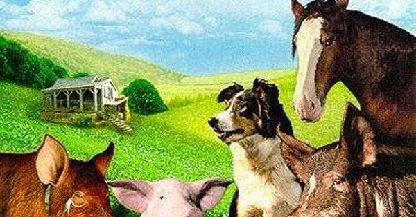 Animal Farm Cast List Actors and Actresses from Animal Farm