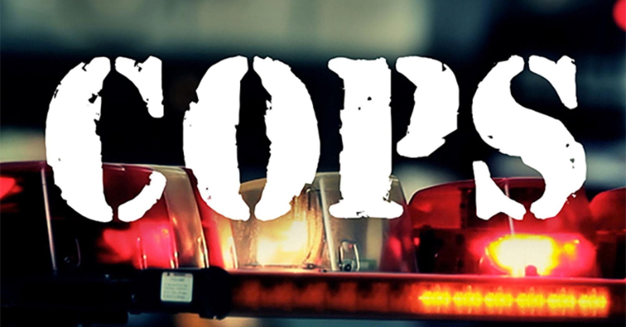 Facts About The TV show Cops