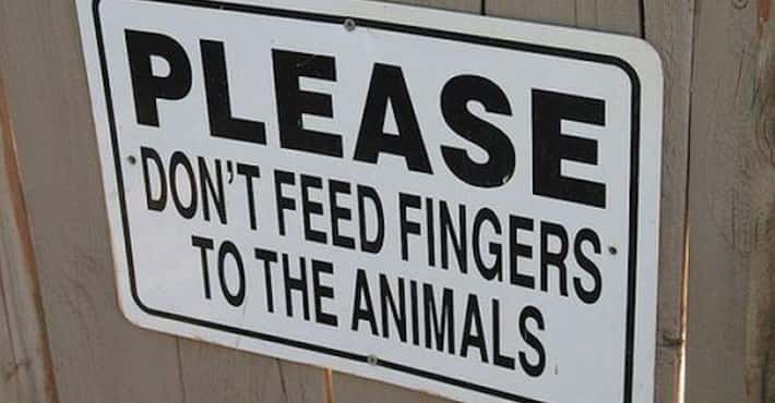 Hilarious Signs Spotted in Zoos