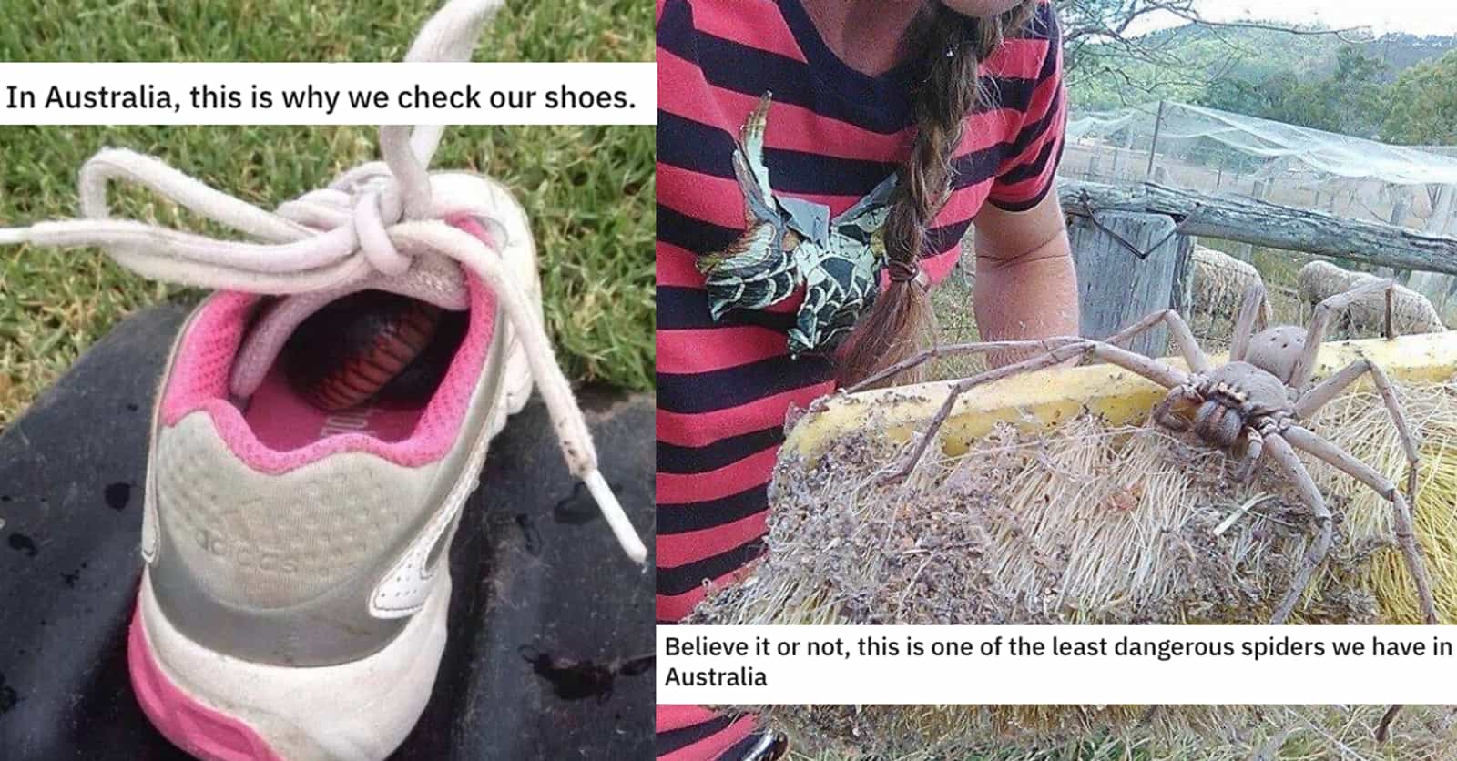 20 Terrifying Images That Made Us Say, 'Damn Australia, You Scary'