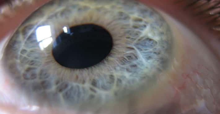 Get to Know Your Own Eyeballs