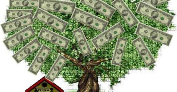 Best Colleges for Finance | Top Undergrad Finance Programs List