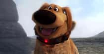 The Greatest Fictional Pets You Wish You Could Actually Own