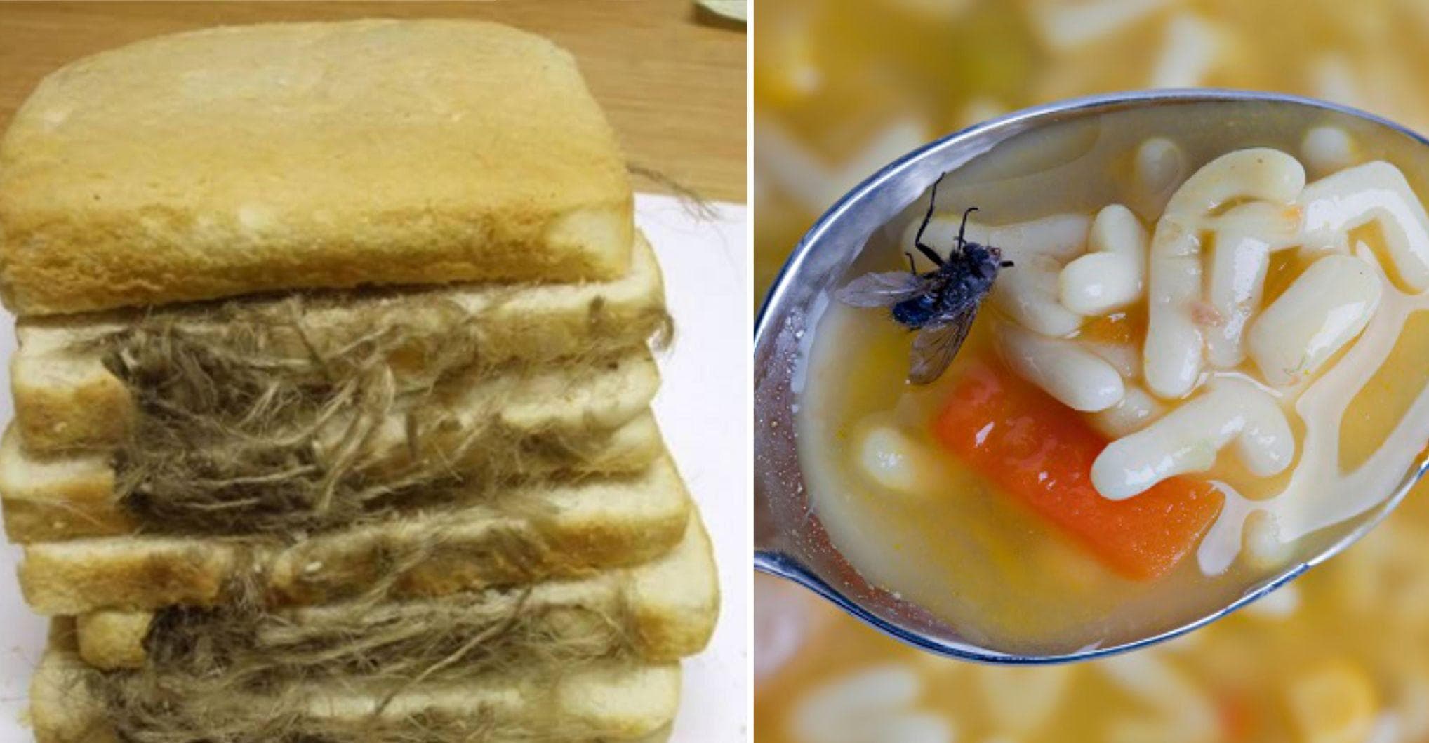 Worst Things People Have Found In Restaurant Food U1