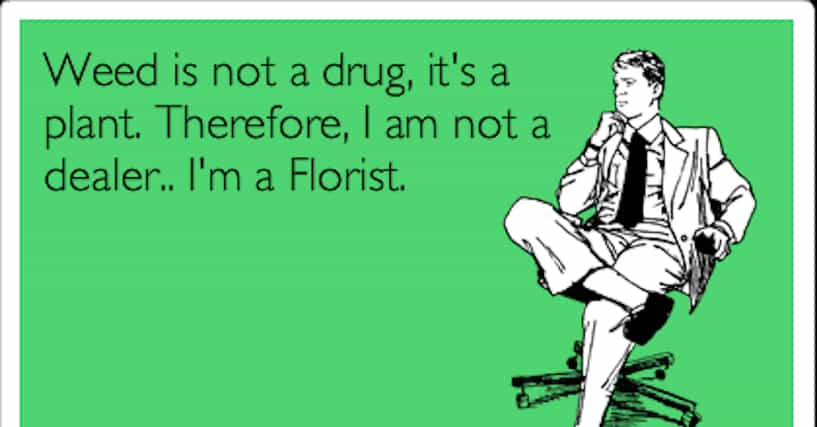 17 Hilarious Examples Of Stoner Logic