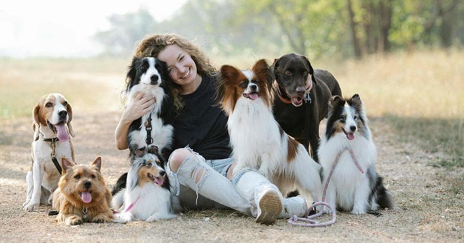 18 Riddles Only True Dog Lovers Can Solve