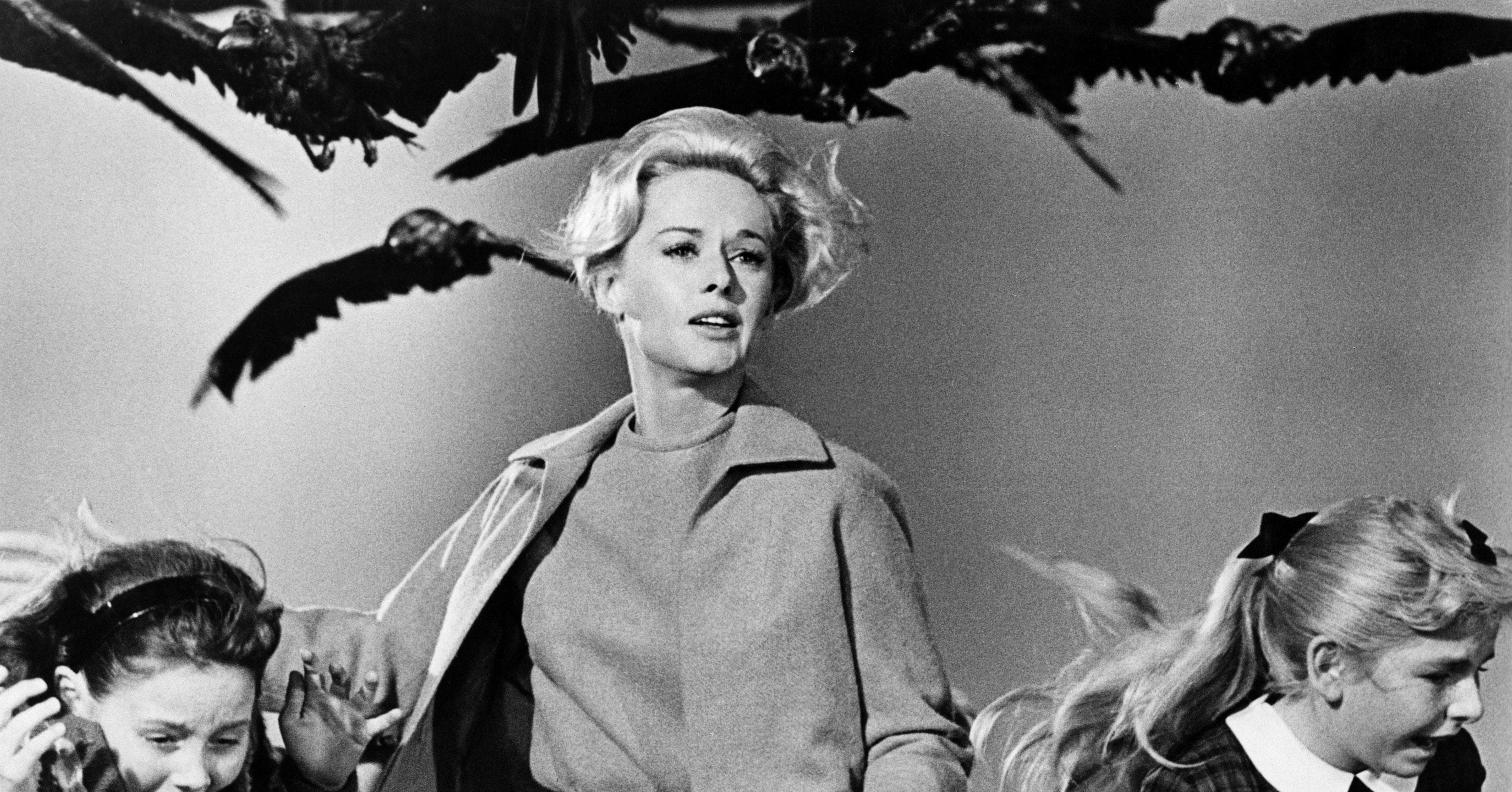 Best Horror Films Ever List / 55 Best Horror Movies of All Time - Scariest Horror Films ... : While luca guadagnino's 2018 reimagining of fellow italian director dario argento's horror classic is well worth the watch, there's no beating the original.