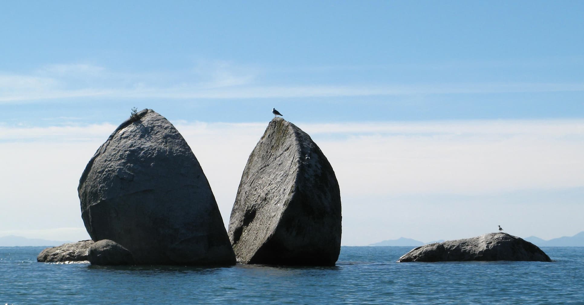 21 Interesting Photos Of Naturally Occurring Objects Cut In Half