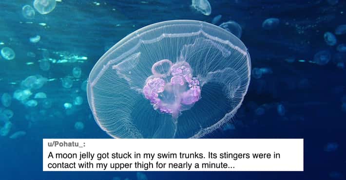 20 Horror Stories From Deep Sea Divers That Fil...