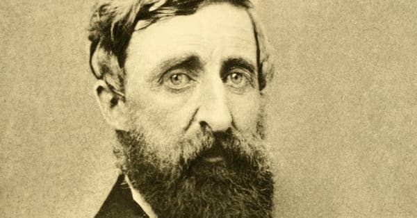 Epub Осторожно!