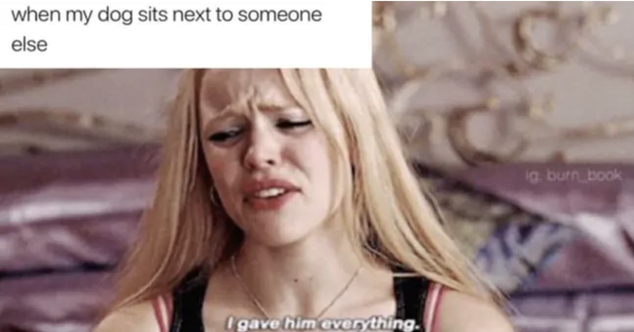 24 Mean Girls Memes That Are So Fetch