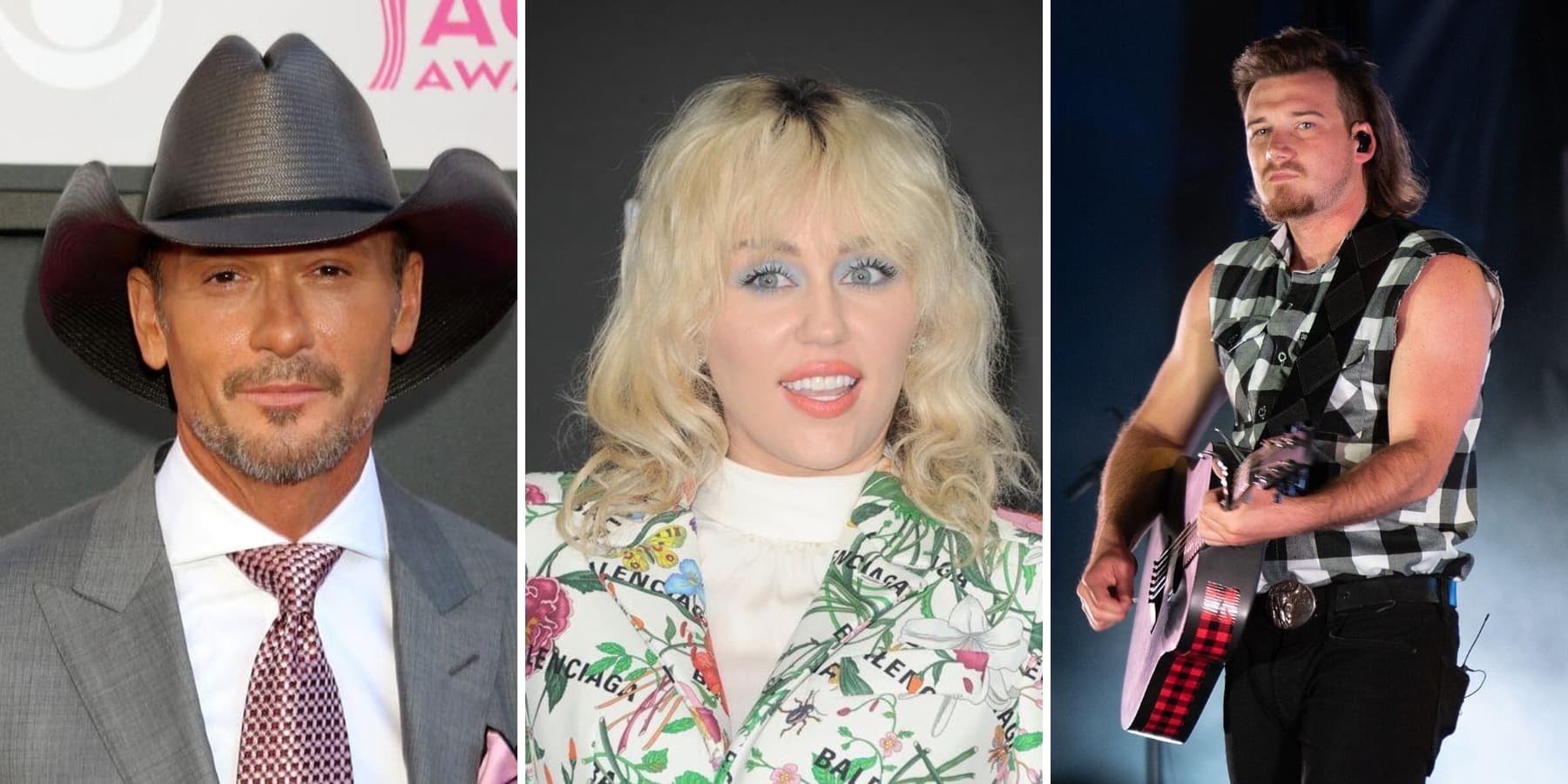 12 Celebrity Titans Fans