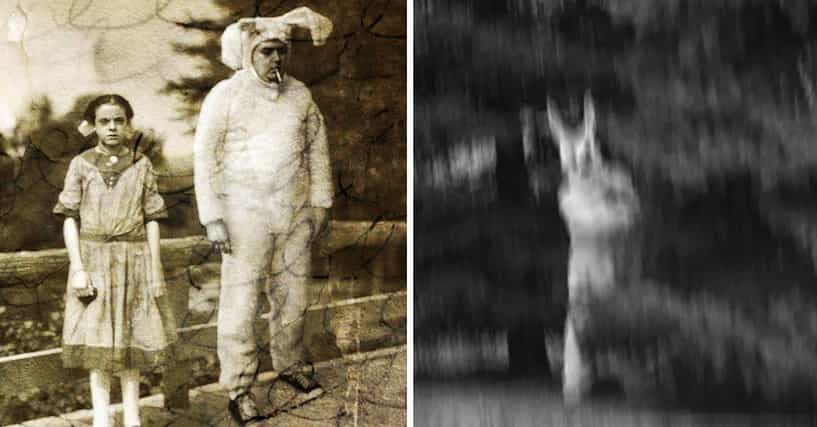 The True Story Of The Bunnyman, Northern Virginia’s Most Gruesome Urban