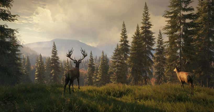 The Best Hunting Games To Play On Steam