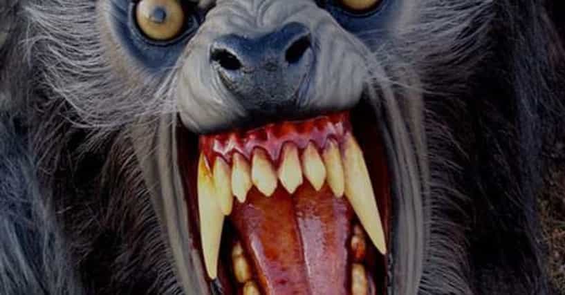 Best Werewolf Movies | List of Great Werewolf Films