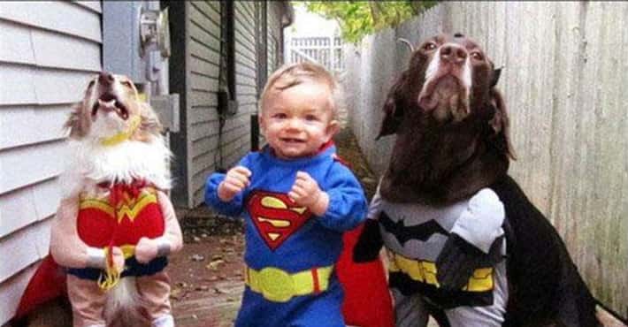 Superpets in Cute Costumes