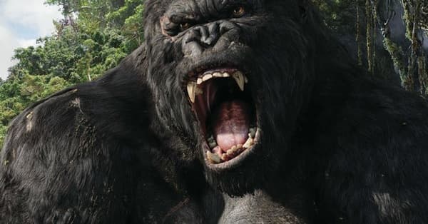 The Greatest Gorilla Characters | List of Fictional Gorillas