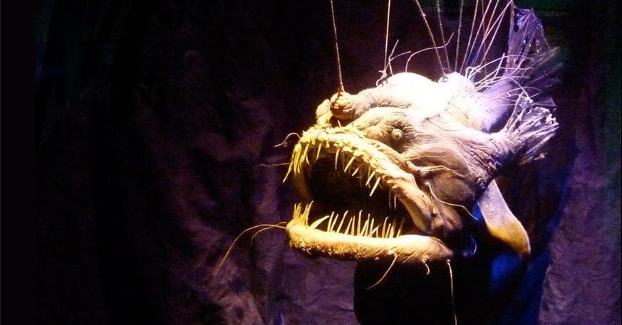 terrifying real sea creatures