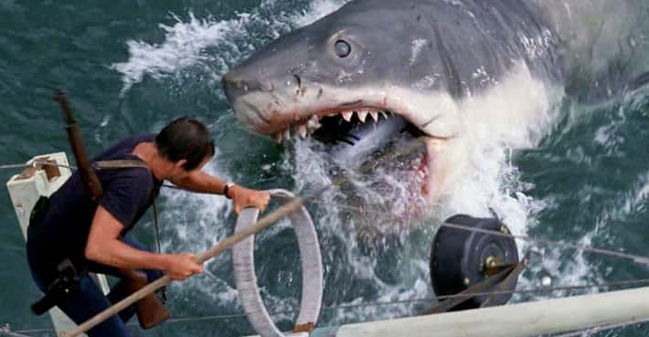 The Greatest Shark Movies Ever