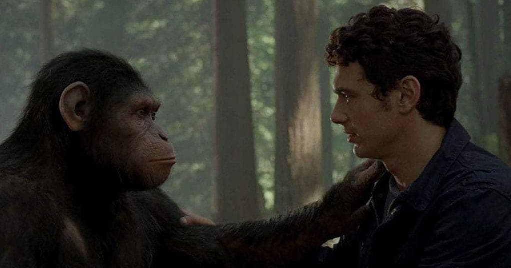 List Of 50+ Best Movies With Apes & Gorillas, Ranked