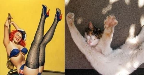 Сумел соблазнить эту сексопильную кошечку