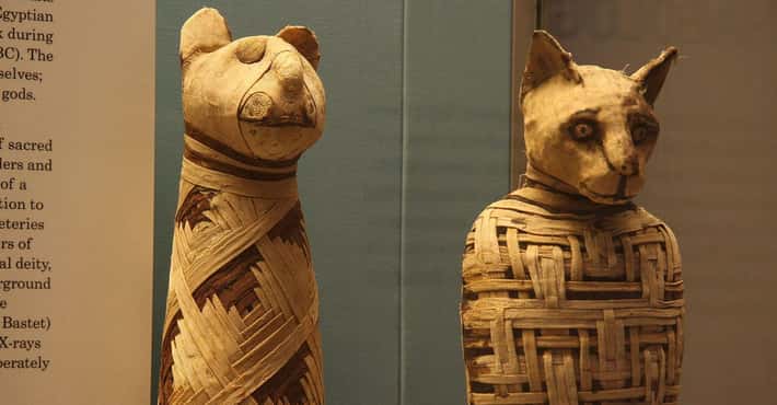 Ancient Egyptians Mummified Animals, Too
