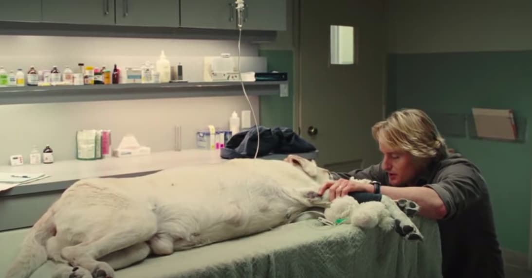 Watchworthy Fans Share The Movie Scenes They Find Hard To Watch