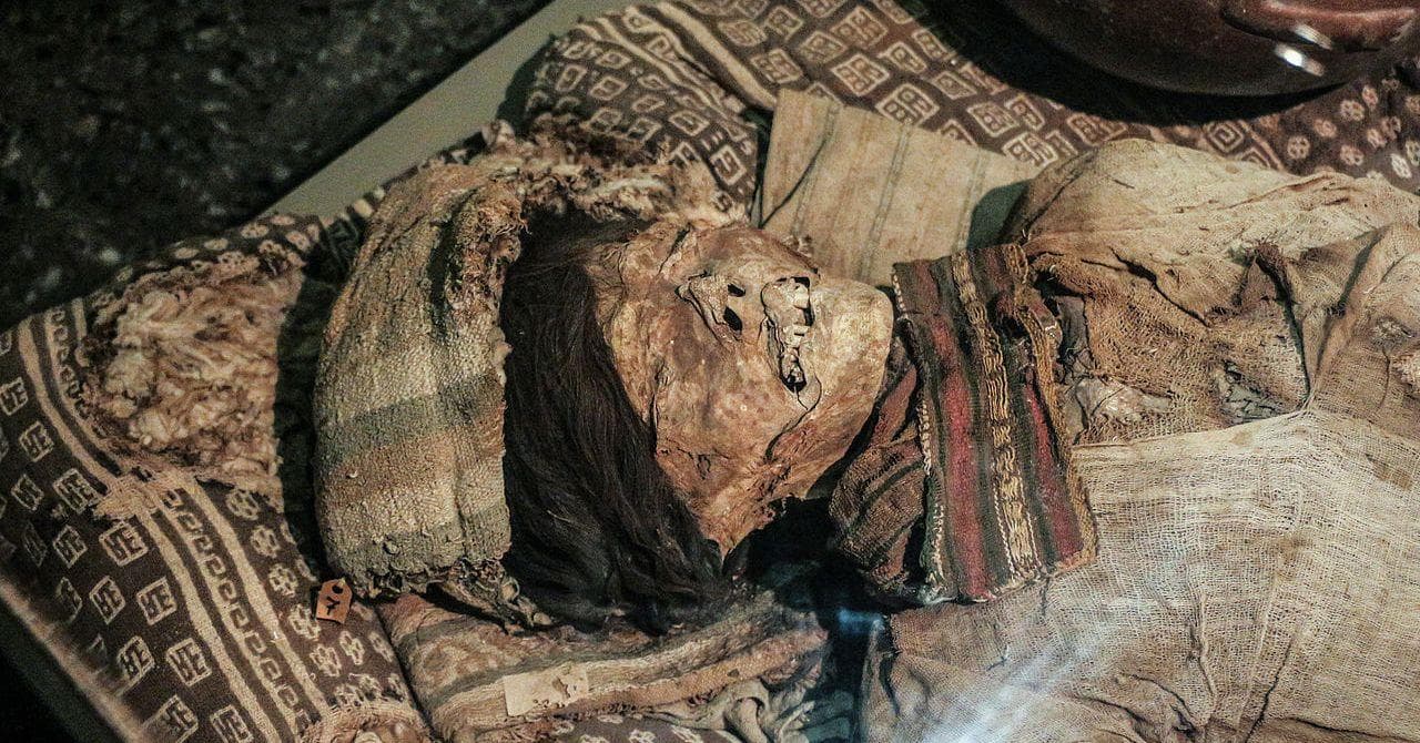 30 Pictures Of Mummies That Made Us Say 'Whoa'