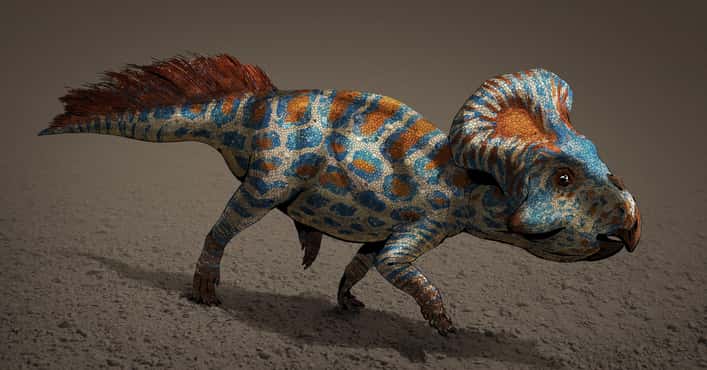 Scientists' Latest Ideas of Dino Biology