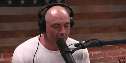 The Best Joe Rogan Episodes About Hunting And Conservation