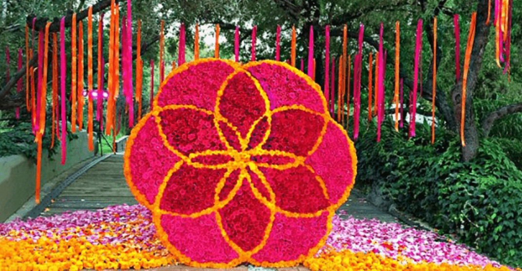 20 Instagram Accounts for Plant Lovers