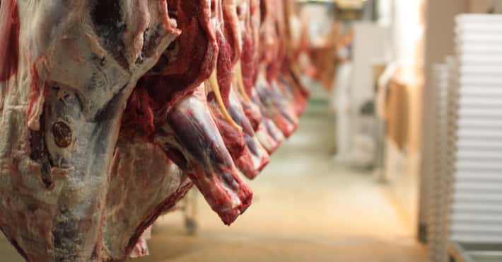 Slaughterhouse Workers Describe What Happens On...