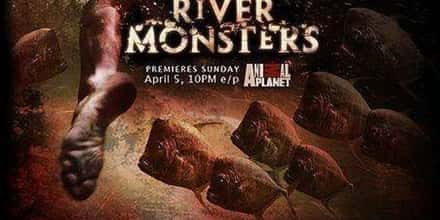The Best Episodes of River Monsters