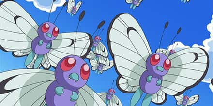 The Best Butterfree Nicknames