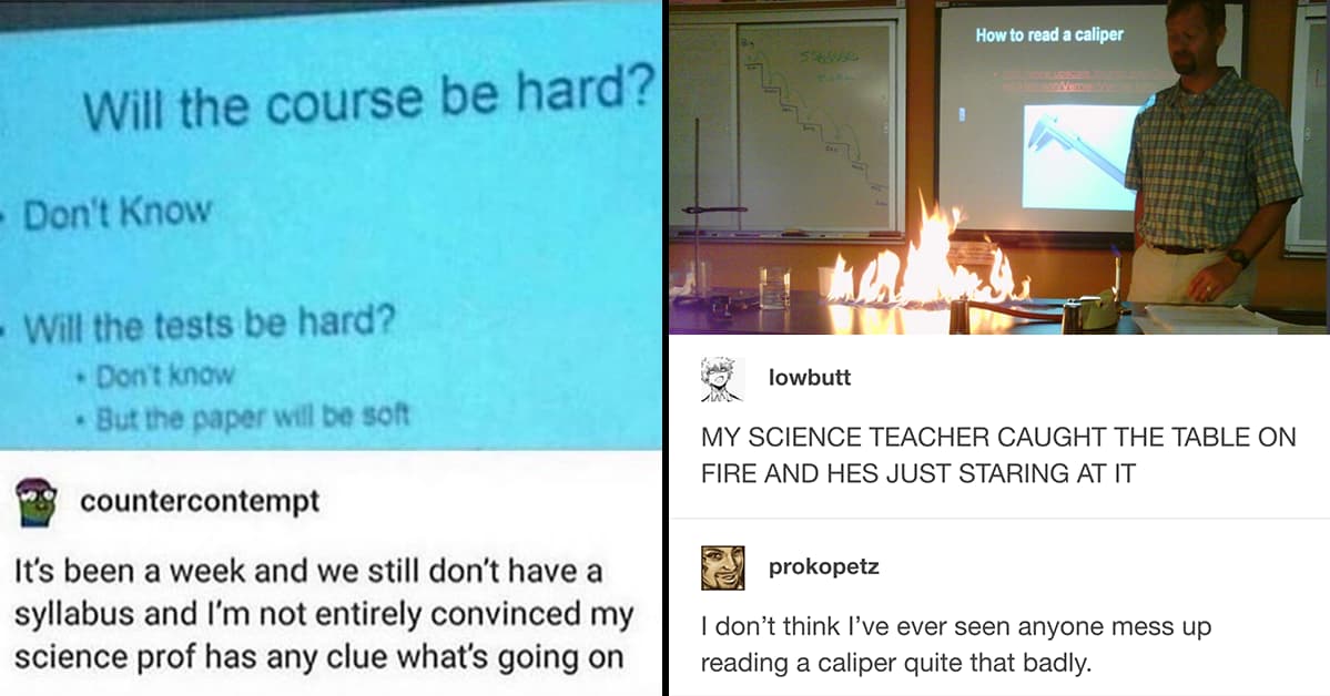 18 Hilarious Tumblr Posts About Teachers That We Laughed Way Too Hard At