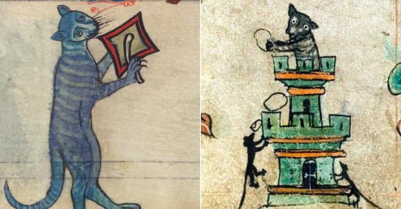 25+ Of The Best Medieval Cat Paintings We Could Dig Up