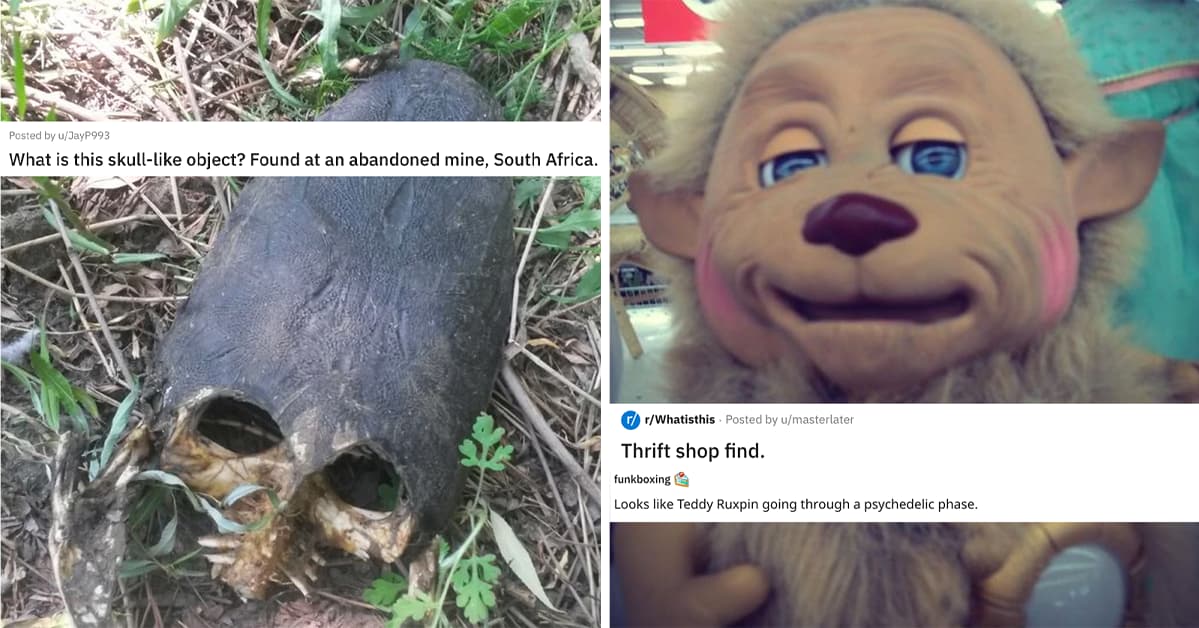 People Ask For Help Identifying Weird Objects, And The Answers Are Surprising (And A Little Creepy)