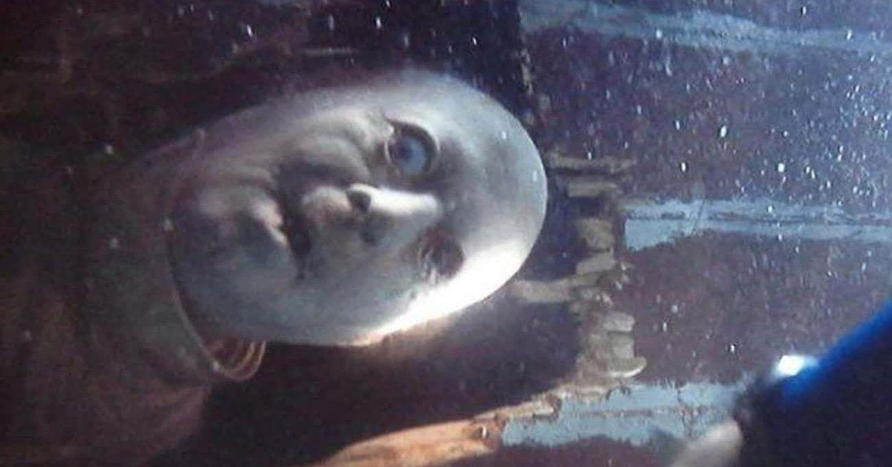 Graveyard Shift Readers Share The One Horror Movie Scene They Will Always Remember