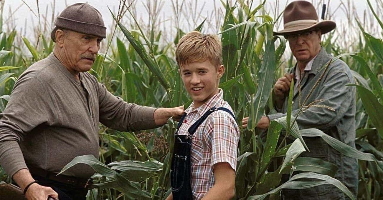 Weird History Readers Share The Classic Movies That Need A Prequel